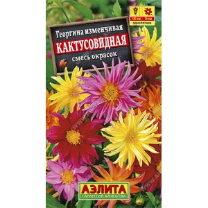 Георгина Кактусовидная, смесь сортов --- Одн